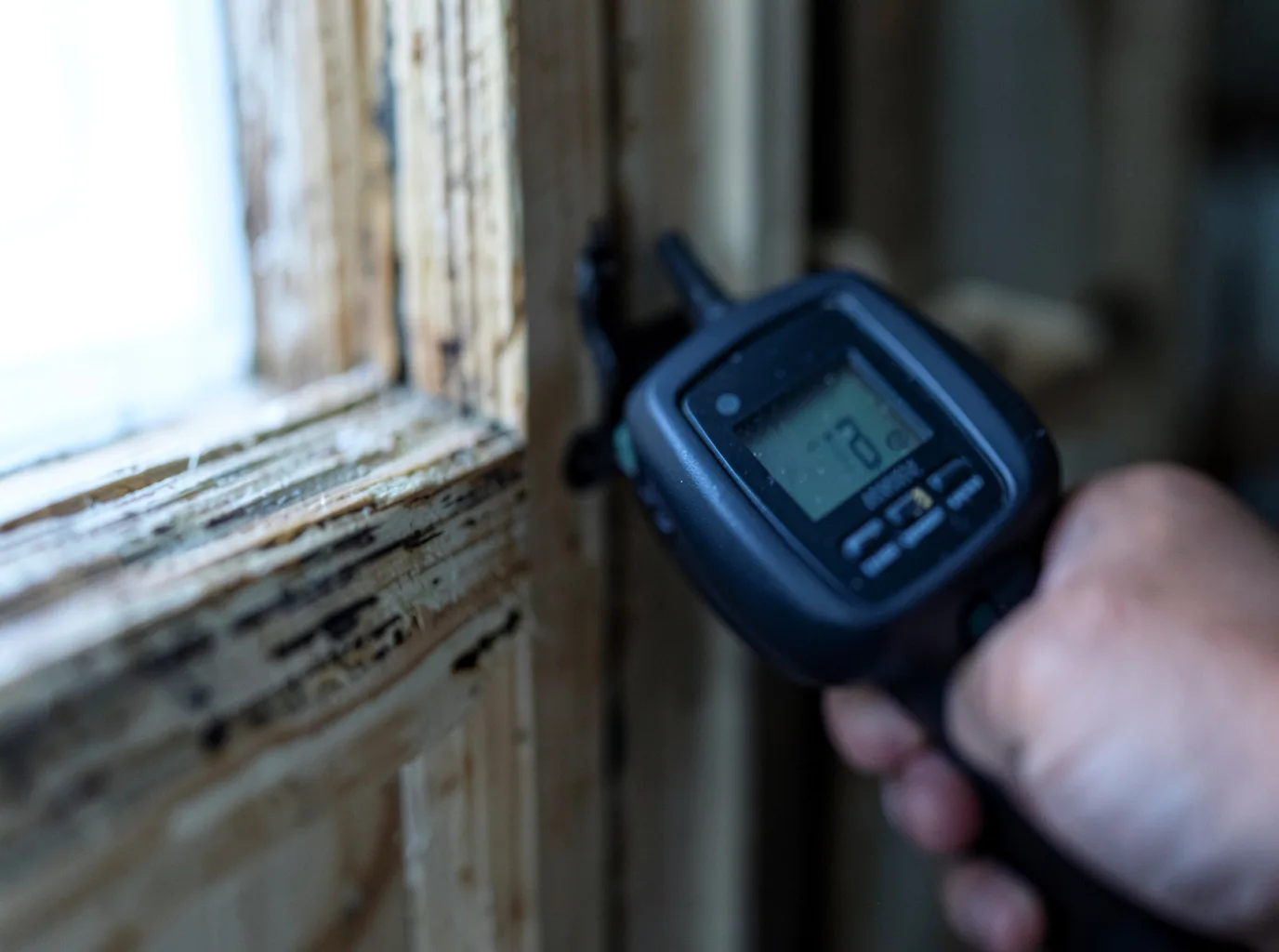Moisture Inspection And Documentation in Cameron, MT
